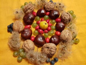 herbstmandala aus früchten von Bachblütenpflanzen