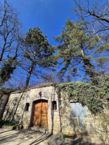 bachbluetenwanderung weinviertel