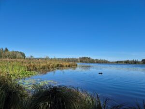 Moorsee Bad Bayersoien