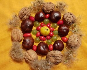 Herbstmandala (Foto: Heidemarie Walbert)
